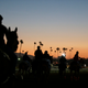 Illustration for article titled They Killed Yet Another Horse At Santa Anita